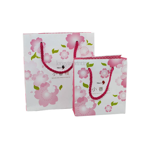 Paper Gift Bag Printing,Color Paper Bag Printing