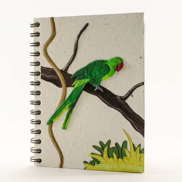 Spiral Notebook  Print you own book